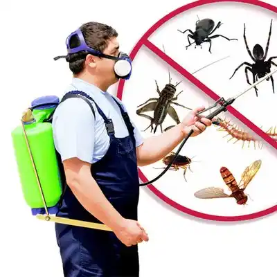 pest control Bossier City